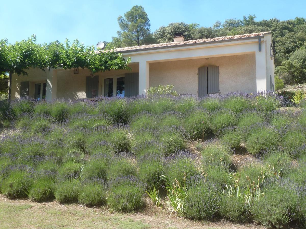 Une Ronce Sous Le Figuier Rousset-les-Vignes Exterior foto
